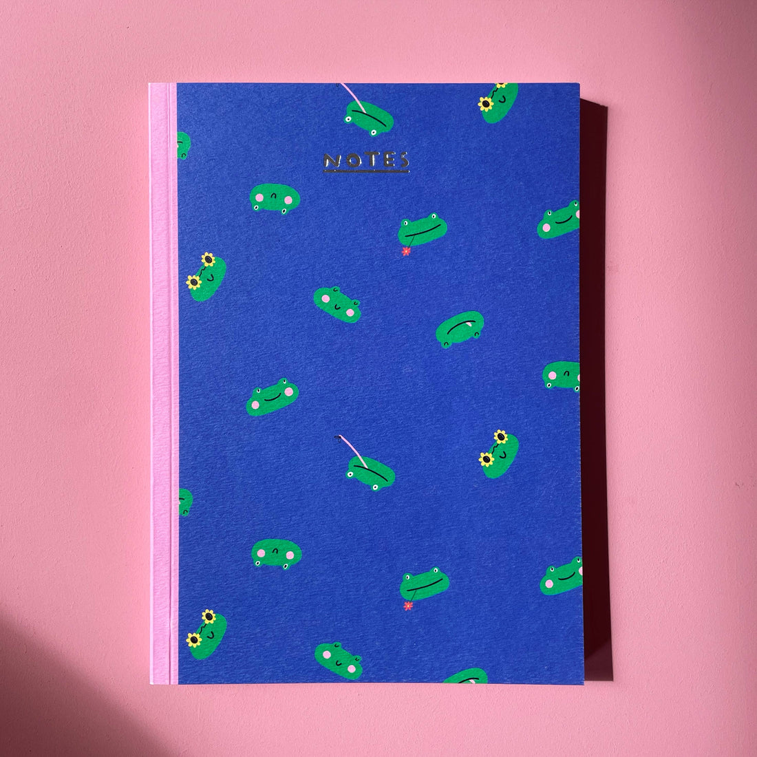 Mr Frog Notebook